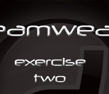 exercise 2